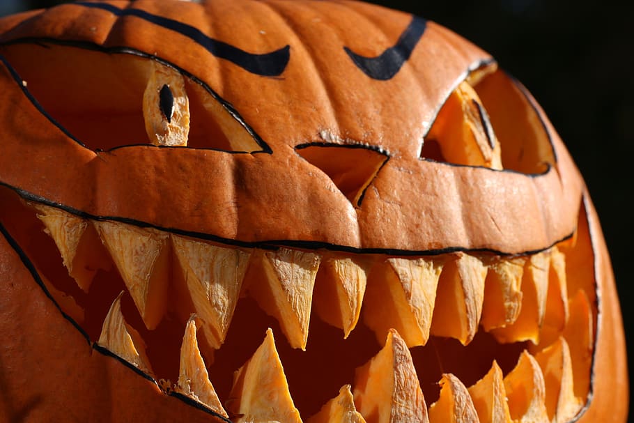 pumpkin, helloween, autumn, orange, face, vegetables, gourd HD wallpaper