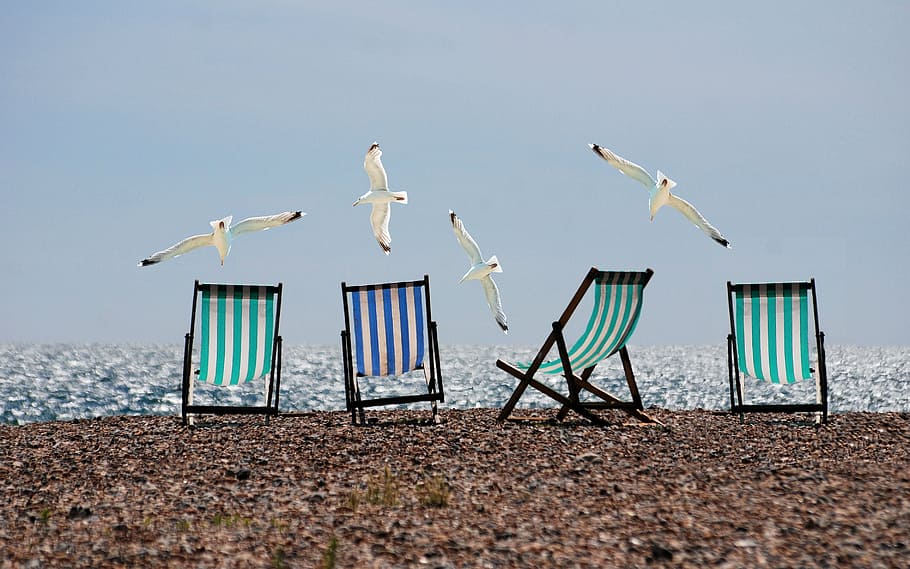 four green and blue folding chairs on seashore, summer, beach HD wallpaper