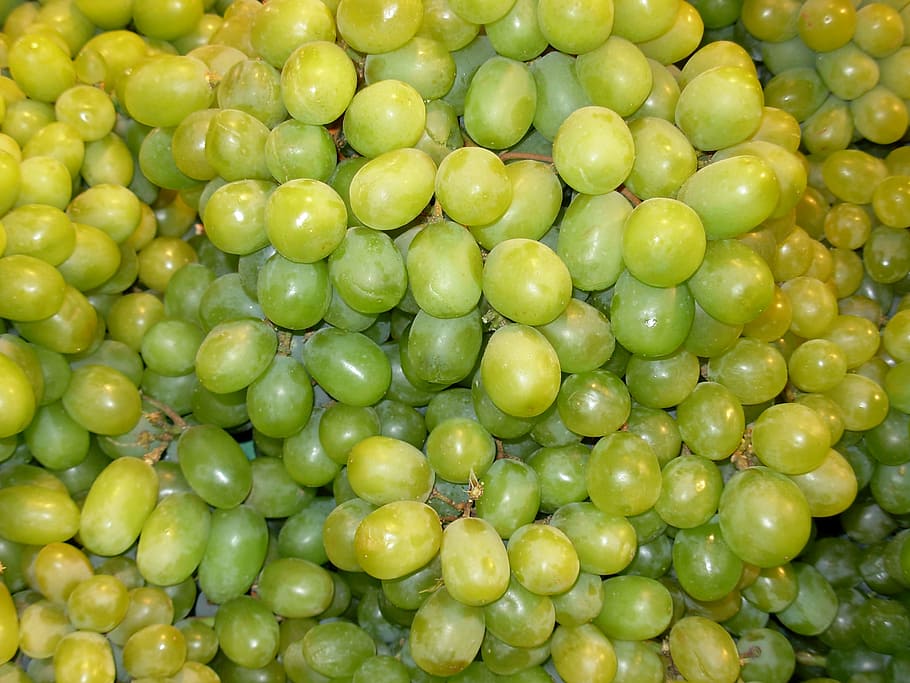 grapes, green, fruit, vine, vineyard, green color, healthy eating HD wallpaper