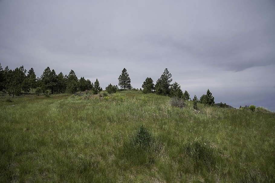 Grass and landscape on Mount Ascension in Helena, cloudy, landscapes HD wallpaper