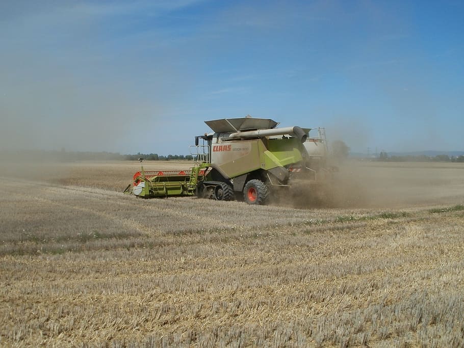 fields, harvest, grain, agriculture, crop, machinery, vehicle HD wallpaper