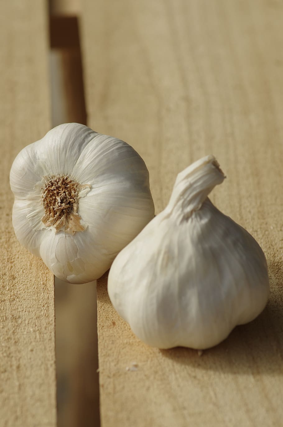 garlic, garlic white, garlic grown, food, harvest, vegetable