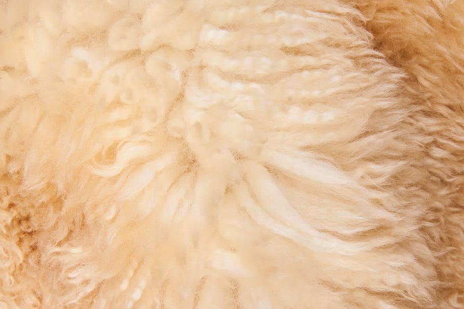 beige textile, fur, structure, fund, sheepskin, lambskin, use, HD wallpaper