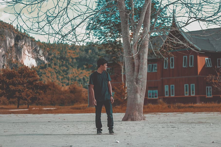 Man in Blue Crew Neck Shirt Standing Behind Brown Tree, alone HD wallpaper