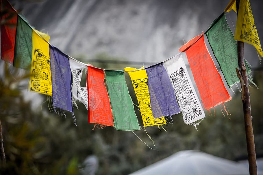 selective focus photography of banners, Ladakh, India, cultures