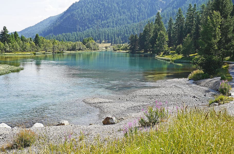 body of water near forest during daytime, bergsee, alpine, engadin