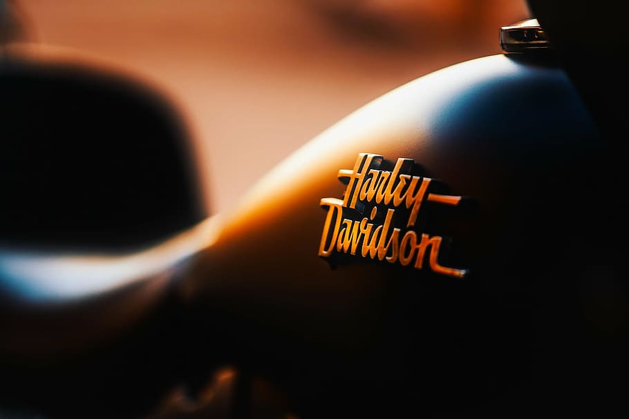 Harley-Davidson emblem, motorcycle, travel, transportation, badge