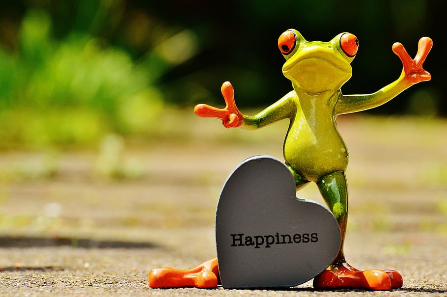 green frog standing near heart Happiness stone wallpaper, funny, HD wallpaper