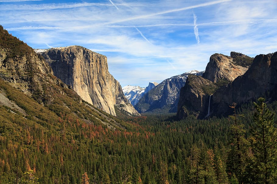 green trees between mountains at daytime, landscape photography of trees and mountian HD wallpaper