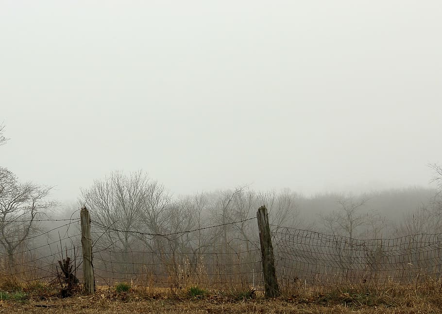 rural, country, fence, post, wood, wire, fog, mist, grey, dreary, HD wallpaper