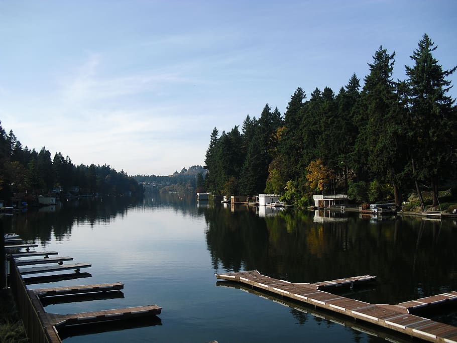 lake, marina, trees, water, reflection, plant, sky, tranquility HD wallpaper