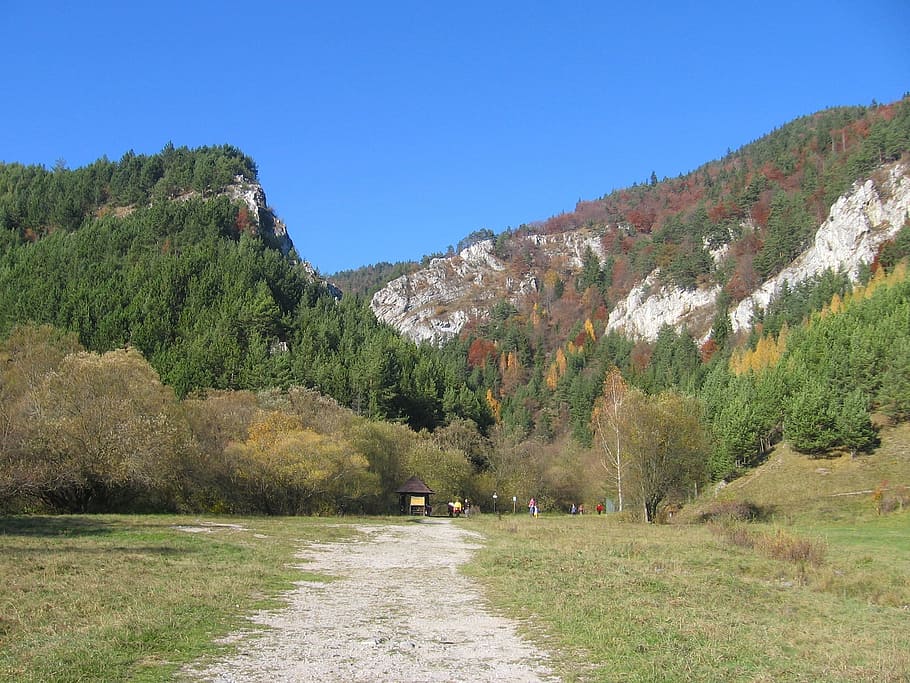 Slovakia, Clouds, Mountains, Valley, sky, ravine, forest, trees HD wallpaper
