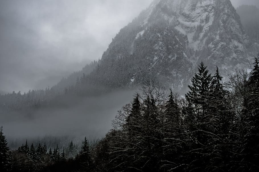 mountain covered snow and surrounding trees, grayscale photography of mountain near trees HD wallpaper