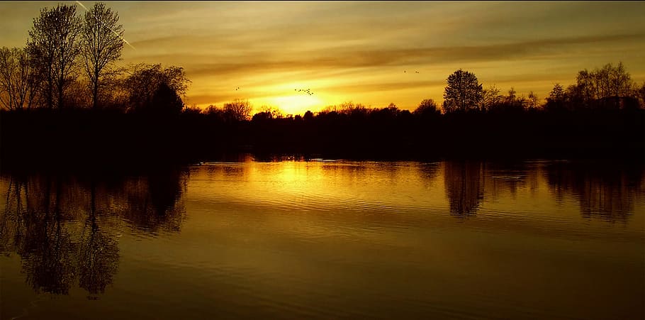 silhouette of tree near body of water, sunset in the britzer garden, HD wallpaper