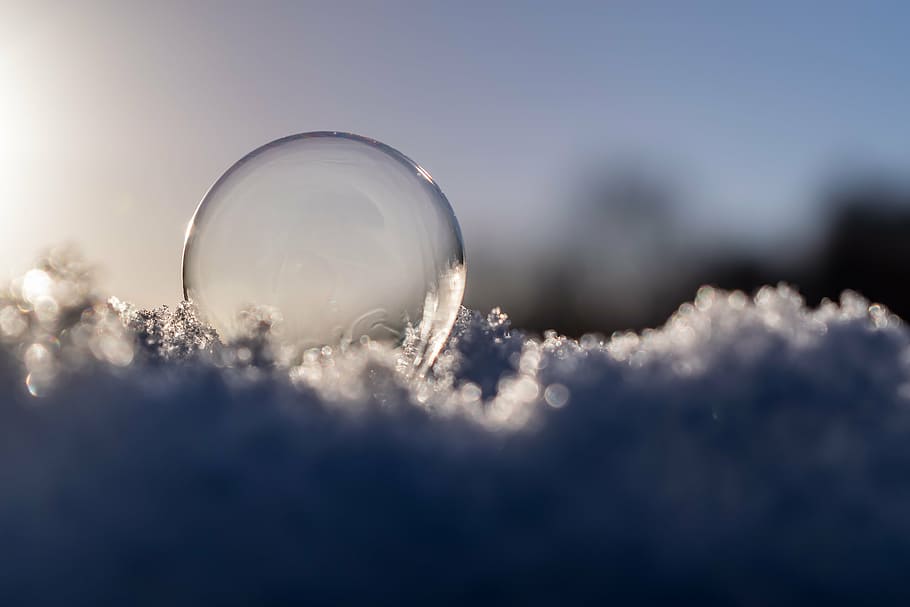 selective focus photography of clear ball, soap bubble, sun HD wallpaper