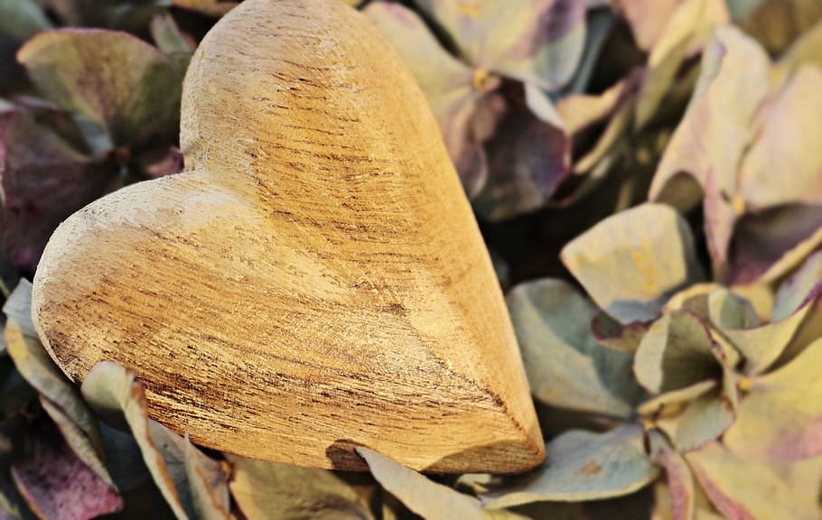 brown wooden heart decor, hydrangea, flower, love, nature, symbol