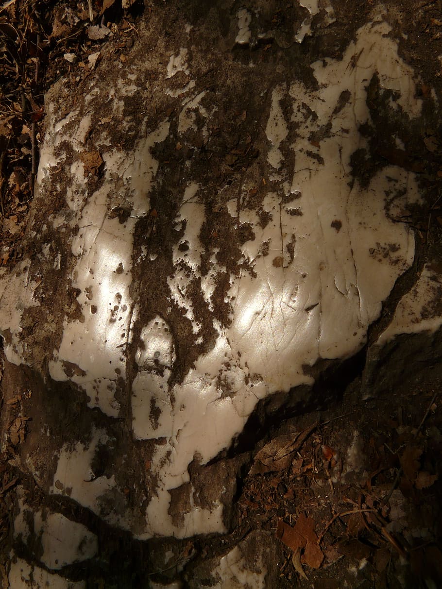 rock, stone, greasy, limestone, sanded, ceded, slippery, scaled-kicks HD wallpaper