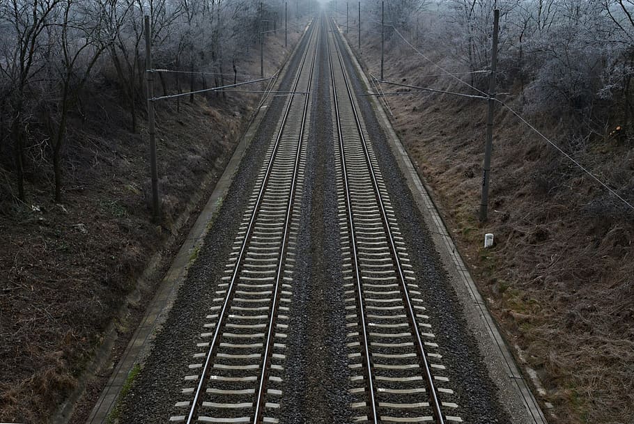 rail, winter, nature, cold, choice, direction, the way forward HD wallpaper
