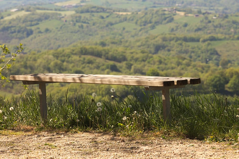Bench, Landscape, Nature, Rest, Field, calm, zen, tranquility HD wallpaper