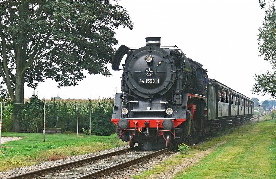 black and red train passing near trees, steam train, heavy goods train locomotive, HD wallpaper