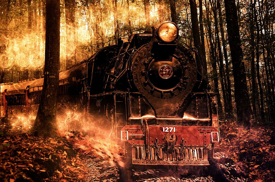black and red train beside green leafed trees, engine, forest, HD wallpaper