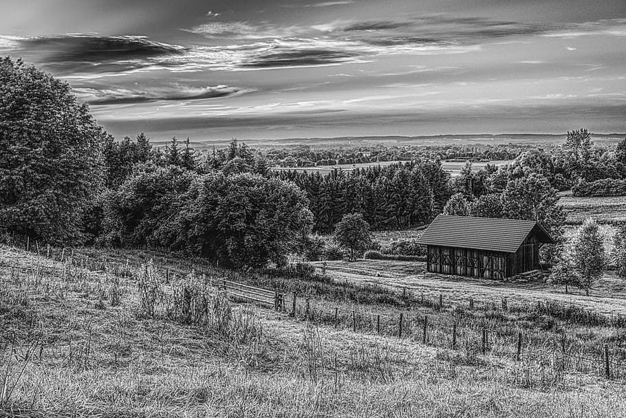 rural, hut, landscape, home, old, agriculture, log cabin, meadow, HD wallpaper