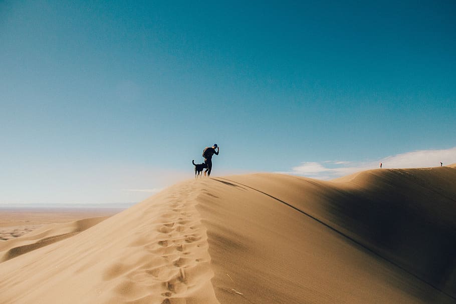 silhouette photo of person and dog on desert mountain, person and dog walking on sand under blue sky HD wallpaper