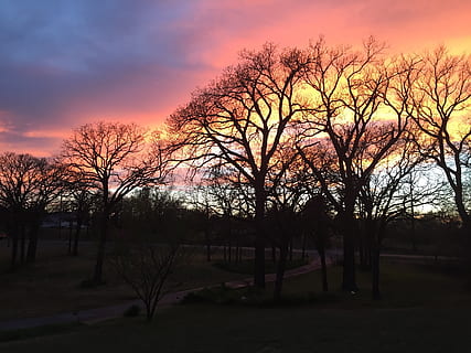 sunset, orange, yellow, purple, pink, sky, nature, landscape HD wallpaper