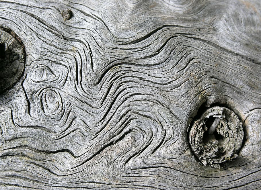 wood, structure, background, wood structure, textured, backgrounds HD wallpaper