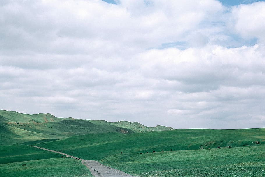 photo of green hill under cloudy white sky, green grass field with road that leads into mountains under cloudy sky HD wallpaper