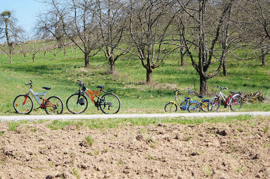 trip, wheels, field, happiness, peace, family, round, transportation HD wallpaper