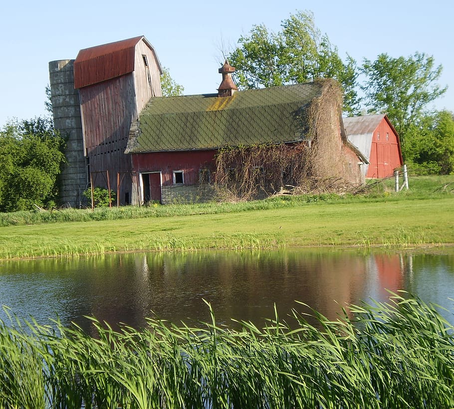 barn, pond, water, dilapidated, farm, rural, agriculture, country HD wallpaper