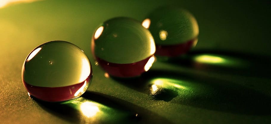 balls, sharpness, the background, green, shadows, the delicacy HD wallpaper