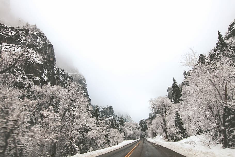 landscape photography of road in the middle of mountains and trees, snow covered side of road HD wallpaper