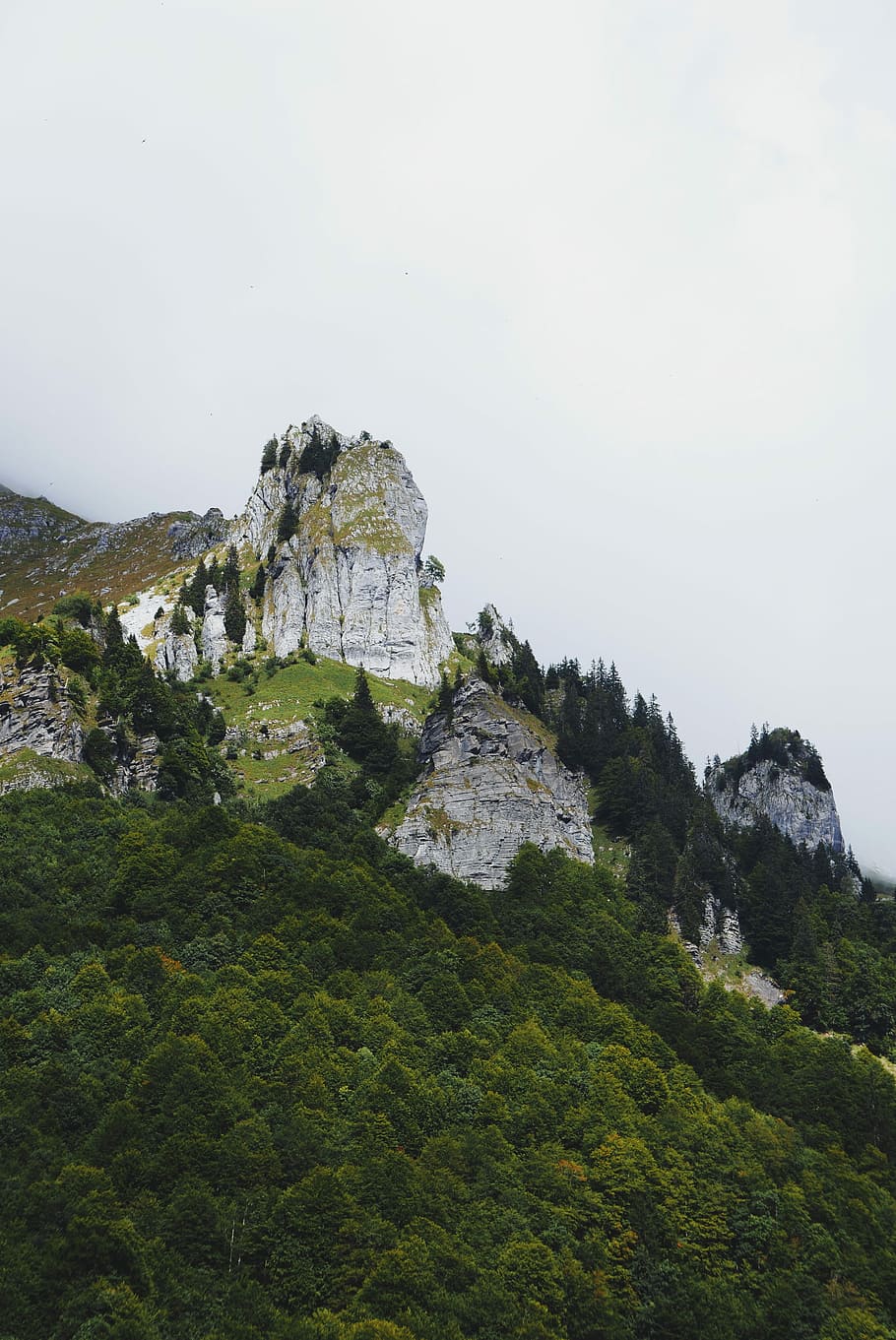 forest in mountain, aerial photography of trees and mountain during daytime HD wallpaper