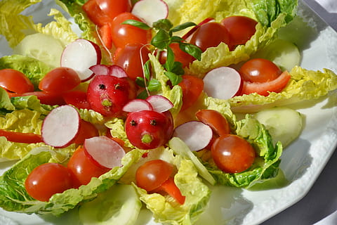 photography of salad and vegetables, mixed, tomato, cucumber HD wallpaper