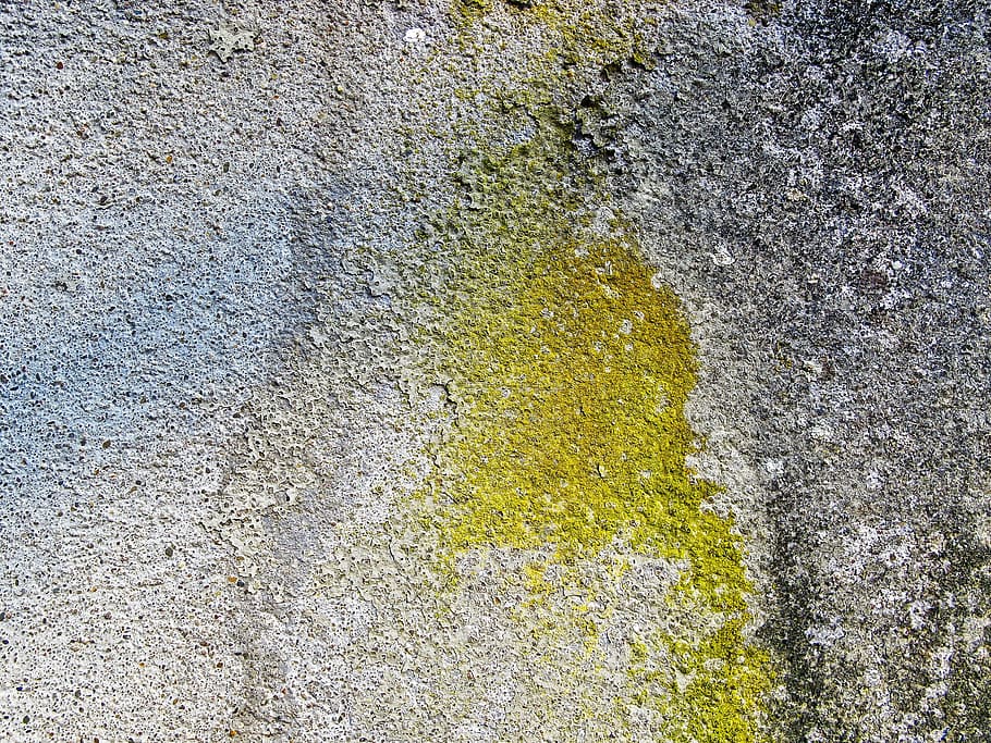 concrete wall, background, structure, texture, dirty, weathered HD wallpaper