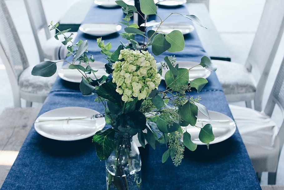 green and white flower centerpiece on table, green leafed plant on clear glass vase HD wallpaper