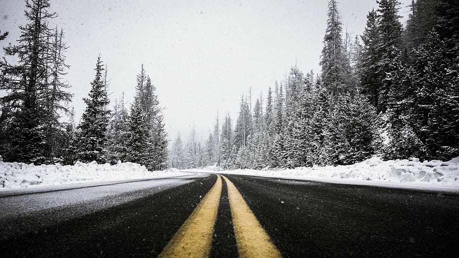 road towards trees during snow day, black, roadway, beside HD wallpaper