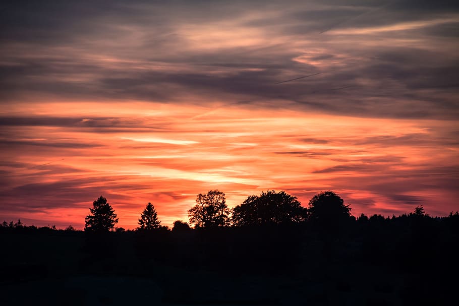 nature, sky, clouds, forest, idyllic, scenic, silhouette, tranquil HD wallpaper
