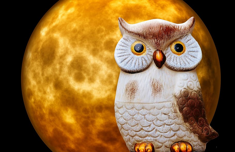 brown and gray owl figurine, Owl, Moon, Moonlight, Night, Ceramic HD wallpaper