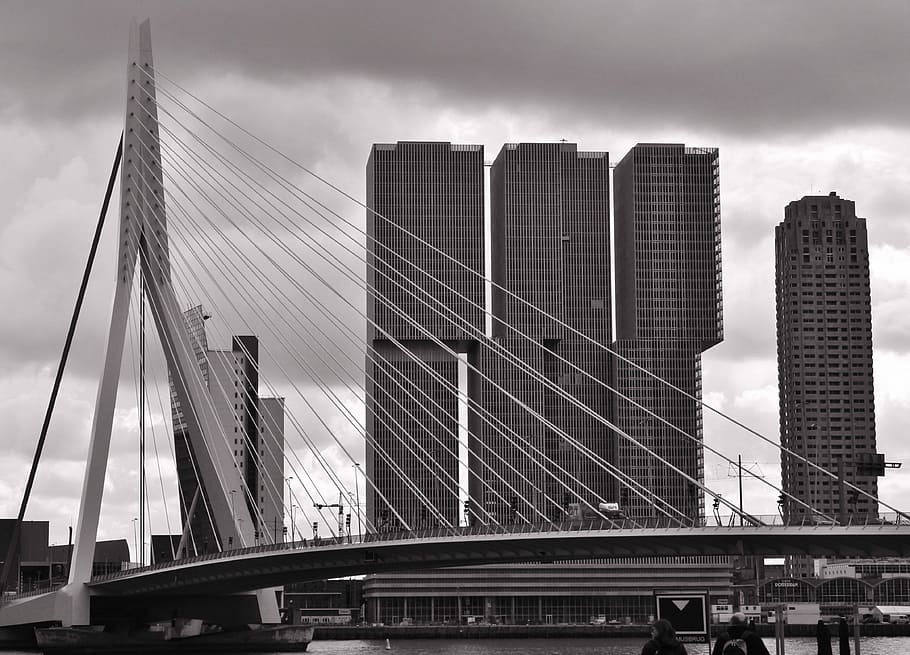 Erasmus Bridge, Rotterdam, architecture, bridge - man made structure HD wallpaper