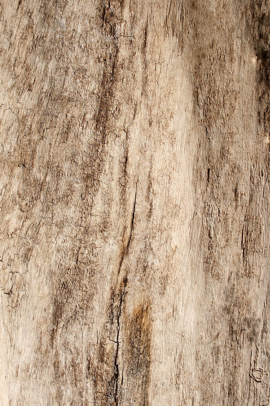 wood, grain, texture, panel, timber, background, groove, t g HD wallpaper