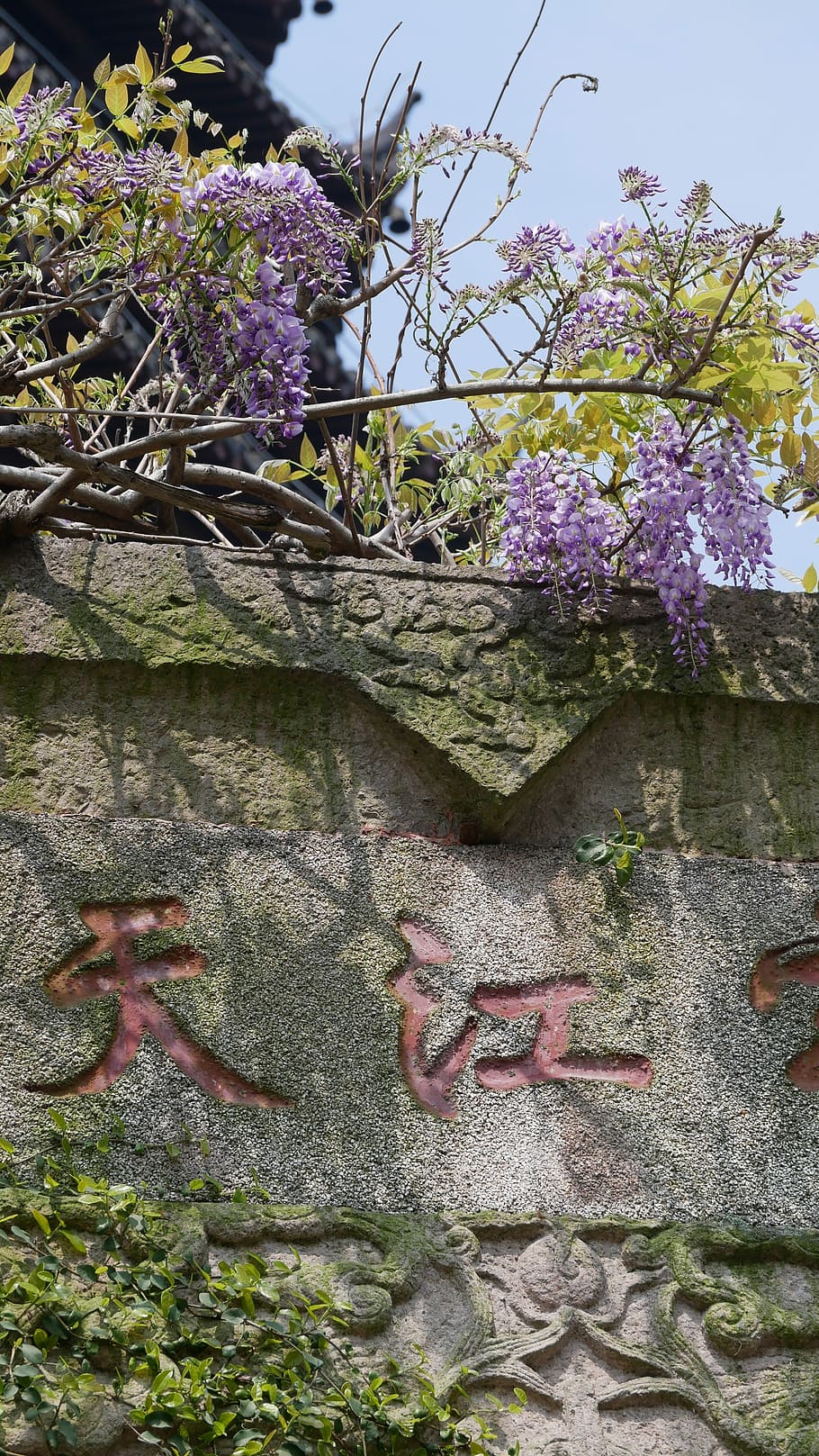 nature, tree, plant, leaf, garden, bush, characters, china HD wallpaper