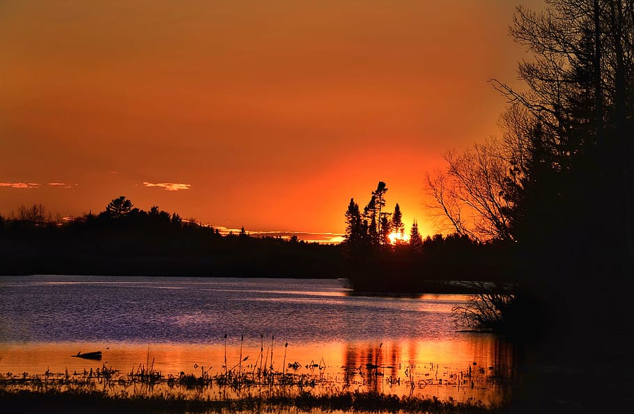 silhouette photography of trees and body of water, sunset, twilight HD wallpaper