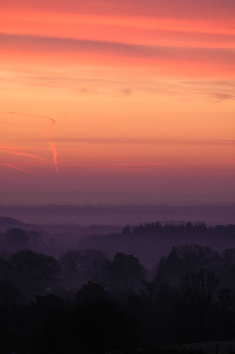 minstead, forest, sunrise, orange, red, beautiful, sky, outdoor HD wallpaper