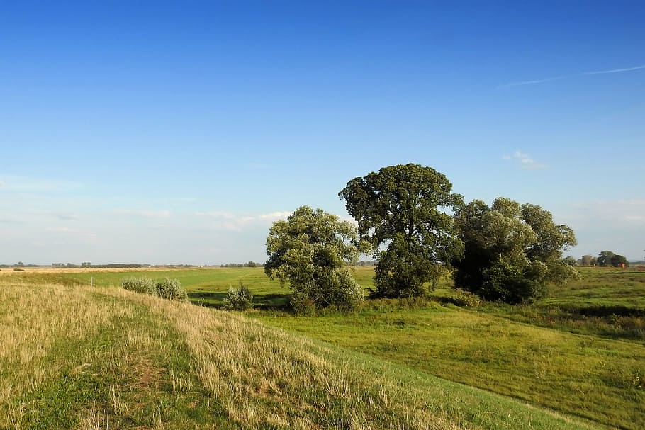 landscape, dike, trees, meadow, grass, nature, rural Scene HD wallpaper