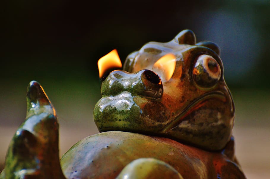 dragon, fire, nostrils, funny, cute, figure, stone, frog, animal HD wallpaper