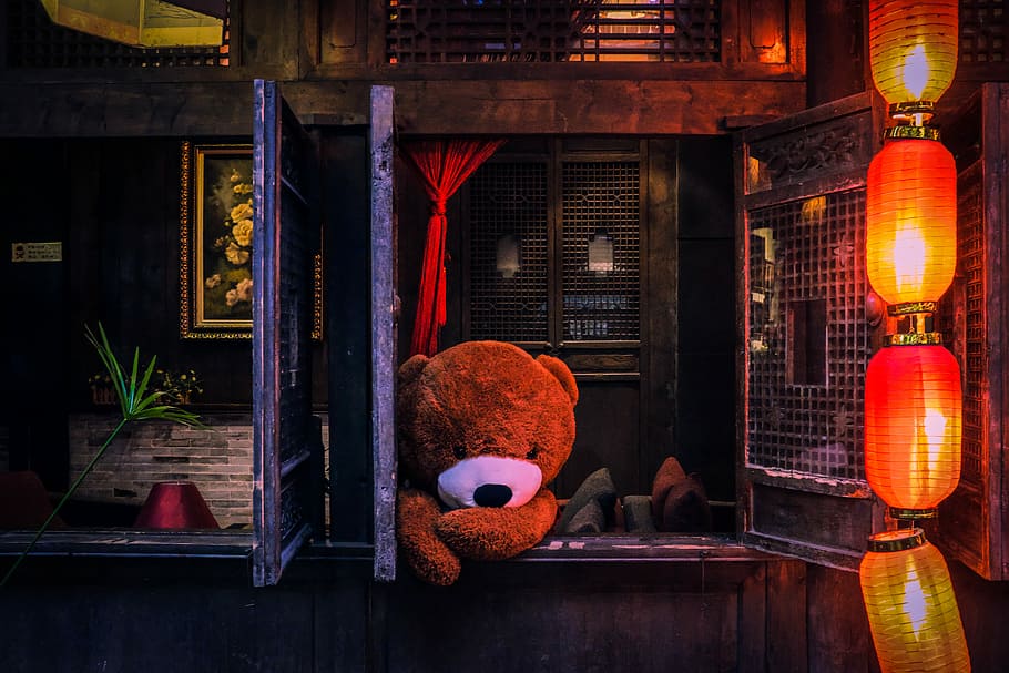 bear plush toy on window, photo of life-sized brown bear at window HD wallpaper