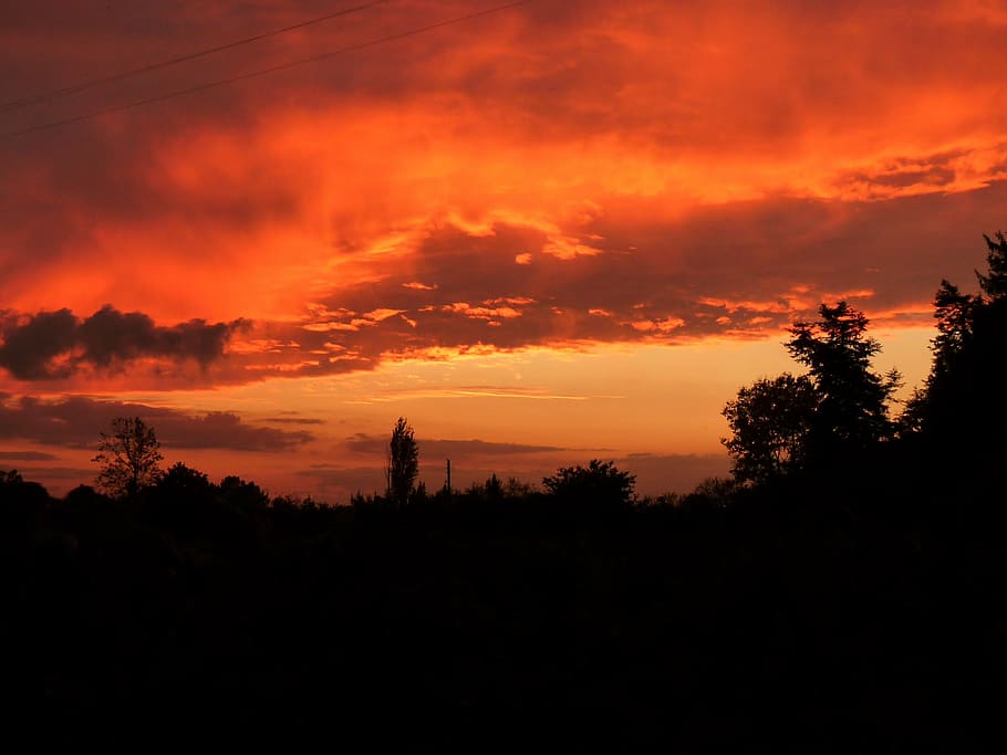 color, contrast, sky, silhouette, tree, sunset, cloud - sky HD wallpaper
